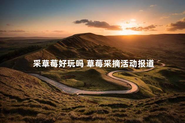 采草莓好玩吗 草莓采摘活动报道